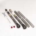 Kit cartouches DDS K-TECH H2, MT-10, R1 avec fourche KAYABA (+10 mm)