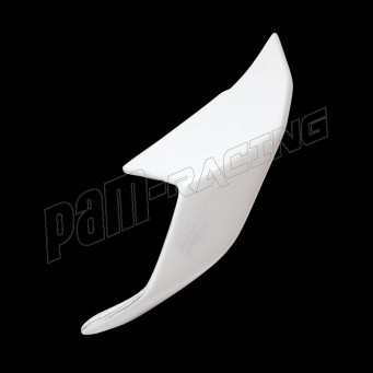 Ailettes fibre de verre S1000RR 2023-2024 SEBIMOTO