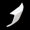 Ailettes fibre de verre S1000RR 2023-2024 SEBIMOTO