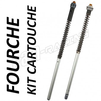 Kit cartouche EMC CB500 1994-2003