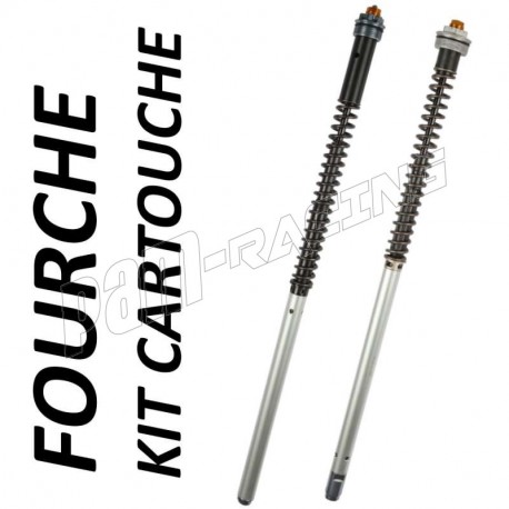 Kit cartouche EMC CB500 1994-2003