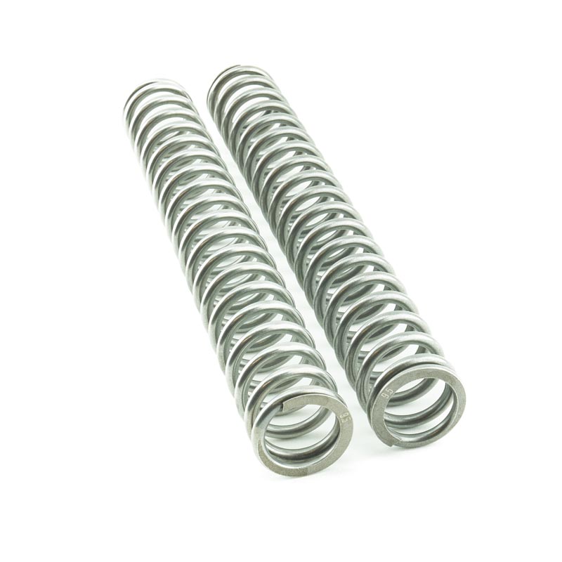 Lot de 5 ressorts à cliquet en acier inoxydable pour moyeu libre sans crochet pour Fulcrum F0/F1/F3/F5/XL/KT Lot de 5 ressorts à cliquet en acier inoxydable pour moyeu libre sans crochet pour Fulcrum F0/F1/F3/F5/XL/KT