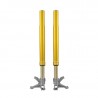 Fourche OHLINS racing TTX25 Ø 43 mm FGR 250 Superbike