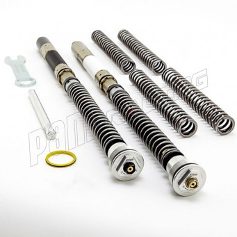 Kit cartouches DDS K-TECH R1M 2020-2024 avec fourche OHLINS