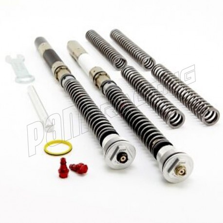 Kit cartouches DDS K-TECH 765 Street Triple RS 2017-2025, 765 Street Triple S 2017-2019 Kit cartouches DDS K-TECH 765 Street Triple RS 2017-2025, 765 Street Triple S 2017-2019