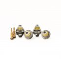 Kit pistons de fourche SSK Aprilia avec fourche OHLINS K-TECH 