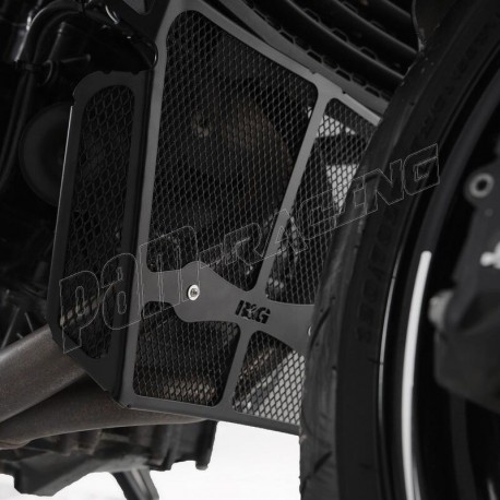 Grille de collecteur R&G RACING F900R 2020-2025
