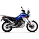 Silencieux ARROW Sonora embout carbone homologué Tuareg 660 2022-2025