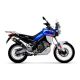 Silencieux Indy Race homologué avec embout inox ARROW Tuareg 660 2022-2025