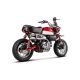 Double silencieux titane Akrapovic Monkey 2019-2025