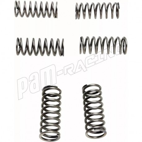 Kit ressorts d'embrayage SUZUKI EBC CSK198