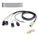 Faisceau QSH-F2F pour Quickshifter Easy1 HEALTECH iQSE-1+QSH-F2F