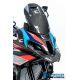 Pare-brise carbone ILMBERGER M1000XR 2024