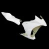 Carénage poly racing complet fibre de verre RC390 2014-2020 POLY-BIKE