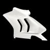 Flanc gauche fibre de verre Panigale V4R/V4S 2023-2024 SEBIMOTO