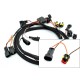 Faisceau pour Shifter SG Plug and Play CORDONA PQ8 Ducati