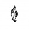 Porte-moyen pour embrayage SUTER