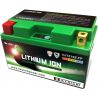 Batterie Lithium-Ion HJTZ10S-FP avec indicateur SKYRICH