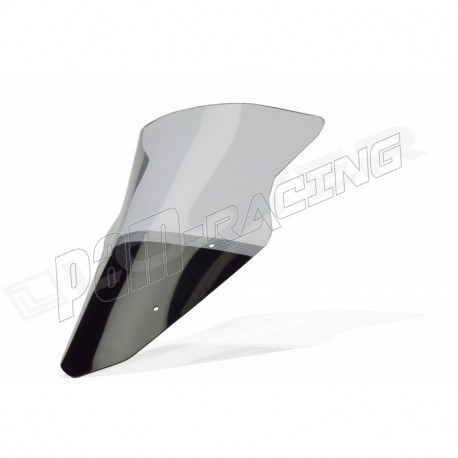 Bulle Standard SRT SCREENS ER-6F 2009-2011