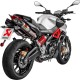 Double silencieux titane/carbone Akrapovic Shiver 900 2017-2020