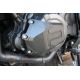 Protection de carter alternateur GSG MOTO Tiger 660 Sport 2022-2025