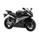 Bulle racing double courbure SRT SCREENS R6 2006-2007