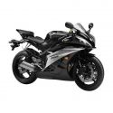 Bulle racing double courbure SRT SCREENS R6 2006-2007