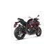 Silencieux AKRAPOVIC titane/carbone Z H2 2020-2023