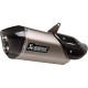 Silencieux titane/carbone Akrapovic Pan America 2021-2024