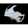 Tête de fourche racing grand format fibre de verre S1000RR 2019-2024 SRT FAIRINGS