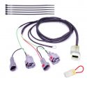 Faisceau QSH-F2B pour Quickshifter Easy1 HEALTECH iQSE-W1+QSH-F2B