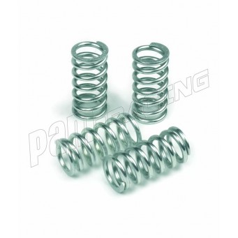 Kit ressorts d'embrayage TRW LUCAS GSR600 2006-2011, GSXR600 2004-2005, GSXR750 2000-2005
