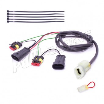 Faisceau QSH-P2B pour Quickshifter Easy1 HEALTECH iQSE-W1+QSH-P2B