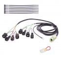 Faisceau QSH-P4B pour Quickshifter Easy1 HEALTECH iQSE-W1+QSH-P4B