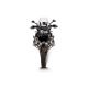 Crashbar titane Akrapovic R1250GS 2019-2023