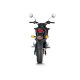 Silencieux carbone Akrapovic MSX125/Grom 2013-2015