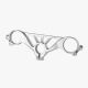 Té de fourche supérieur route Bonamici Racing Panigale V4/S 2025
