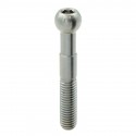 Vis pour adaptateur de protection de levier LIGHTECH