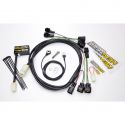 Quickshifter Easy1 HEALTECH BN302 2015-2018