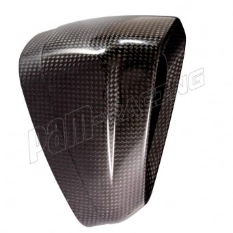 Embout end-cap carbone pour ligne racing Akrapovic S1000RR 2019-2025, S1000R, M1000R, M1000RR 2021-2024