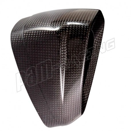Embout end-cap carbone pour ligne racing Akrapovic S1000RR 2019-2025, S1000R, M1000R, M1000RR 2021-2024
