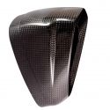 Embout end-cap carbone pour ligne racing Akrapovic S1000RR 2019-2025, S1000R, M1000R, M1000RR 2021-2024