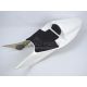 Mousse de selle prédécoupée EVO 3 + dosseret de selle CBR600RR 2003-2006 SRT FAIRINGS