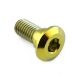 Vis de disque de frein arrière YAMAHA M8x(1.25)x20 MM inox ou titane PRO-BOLT