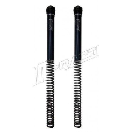 Kit ressort avec bouchons de fourche non réglables OHLINS CRF 300L/Rally 2021-2023