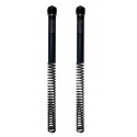 Kit ressort avec bouchons de fourche non réglables OHLINS CRF 300L/Rally 2021-2023