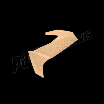 Ailettes fibre de verre RS457 2024-2025 SEBIMOTO