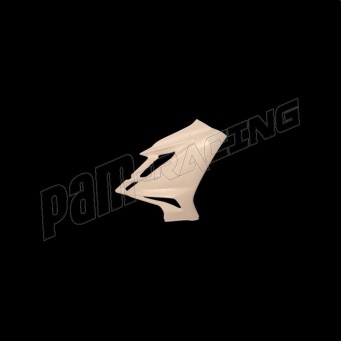 Flanc droit fibre de verre Street Triple 765 R/RS 2023-2025 SEBIMOTO