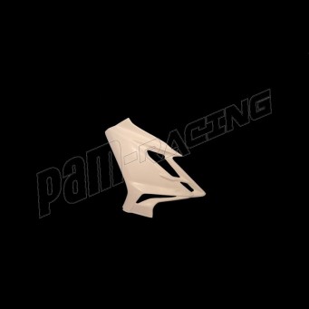 Flanc gauche fibre de verre Street Triple 765 R/RS 2023-2025 SEBIMOTO