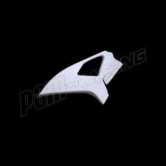 Flanc gauche fibre de verre M1000RR 2023-2025 SEBIMOTO